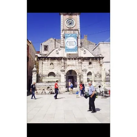 Niko * Zadar
